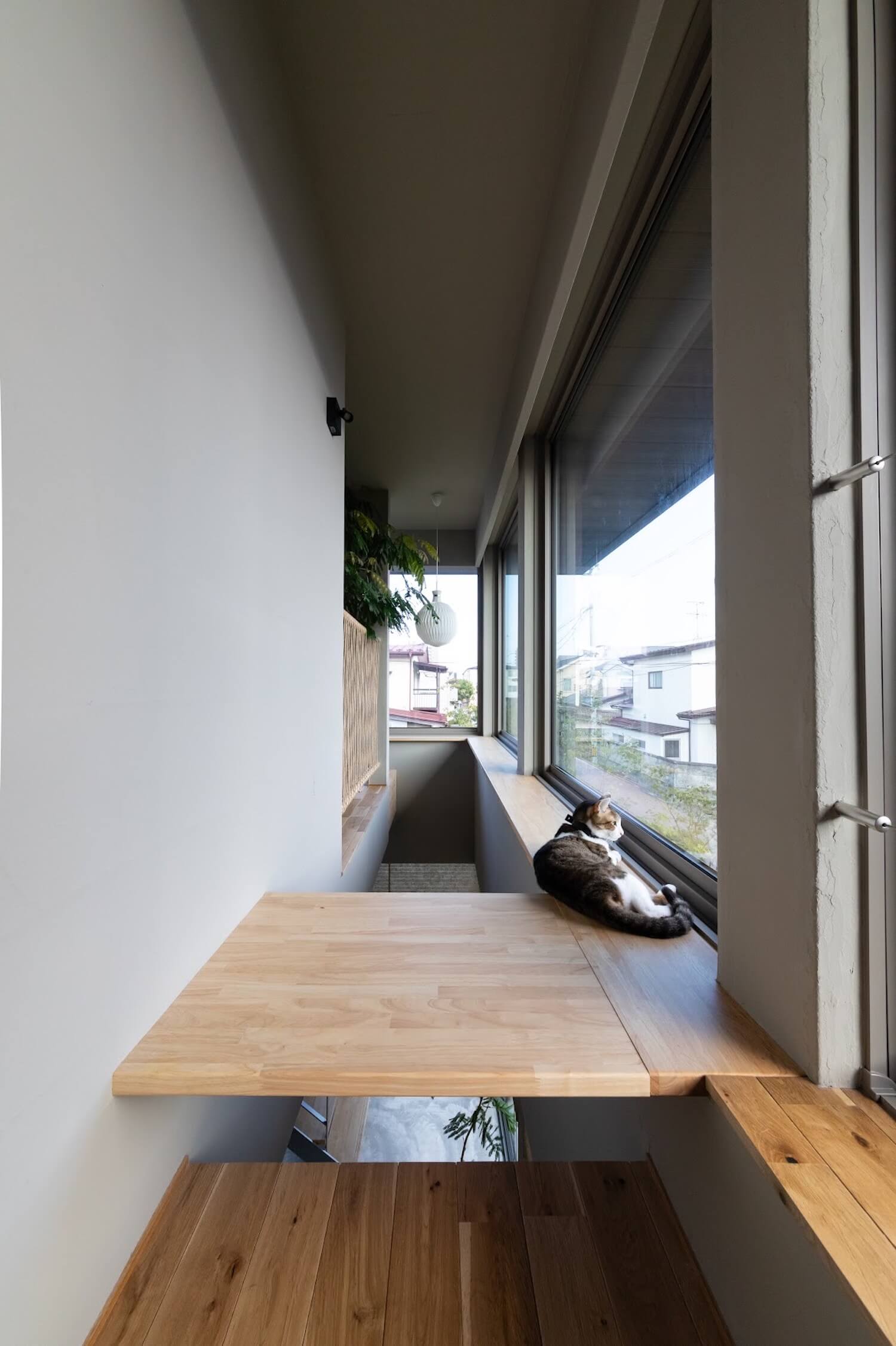 desing selection
